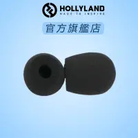 在飛比找蝦皮商城優惠-【HOLLYLAND】Solidcom C1 麥克風墊 12