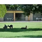 Jumbuck Motor Inn - POOL - PET FRIENDLY SECTION - KING BEDS