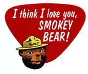 I think I love you, SMOKEY BEAR! a 1970's printing GOP&USDA Vinyl STICKER MINT