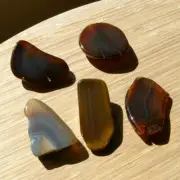 5 Agate Geode Slices Polished Gray & Brown Crystals Banded Colors Cut End Stones