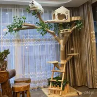 在飛比找蝦皮購物優惠-【天美家居】貓爬架 貓跳台 貓玩具 粗麻繩柱 板材加厚 寵物