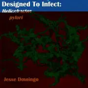 Designed to Infect: Helicbacter pylori by Jesse Domingo (English) Paperback Book