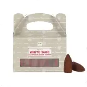 Backflow Cones White Sage