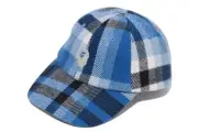 A BATHING APE BAPE CHECK PANEL CAP PLAID Hat SIZE FREE Adjustable JAPAN Blue