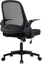 SPOFLYINN Ergonomic Home Office Chair Swivel Mesh Desk Chair with Adjustable Height Lumbar Support Flip-up Armrest for Study Work Black
