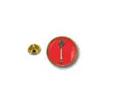pins pin's flag national badge metal lapel hat button vest wales leek