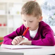 Sensory Chew Pencil Toppers Set Chewable Pencil Toppers Autism ChewDO