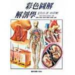 彩色圖解解剖學(ATLAS OF ANATOMY)  譯者:周明加‧柯妙華‧簡基憲‧陳淑姿‧傅毓秀 等編譯