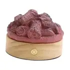 Campfire Night Light Fire Pit Night Light for Living Room Home Countertop
