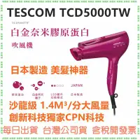 在飛比找Yahoo!奇摩拍賣優惠-現貨 內附風罩+烘罩 TESCOM TCD5000 TCD5