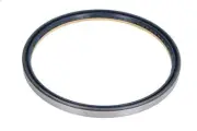 Shaft Seal, wheel hub CORTECO 12019601B for IVECO TRAKKER I 7.79 2004-2012