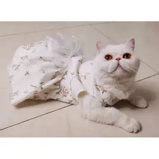 Baju princess kucing 貓衣服狗衣服寵物襯衫