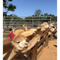 在飛比找蝦皮商城優惠-桃園 埔心牧場 牧場門票 味全埔心牧場