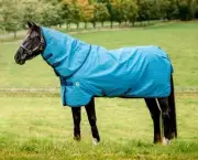 Horseware Amigo Hero 900D Revive Plus Turnout Medium 200g CLOSEOUT
