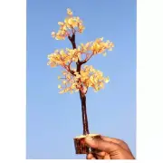 Lemon Citrine Crystals 300+ Copper Branches Bonsai Money Tree Decor 10.5" AU F05