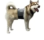 CoolerDog Cooling Vest and Cooling Collar, L