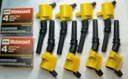 2000-2008 FORD F150 4.6L ALL 8 IGNITION COIL DG508Y & 8 MOTORCRAFT PLUGS SP493 (for: Ford)