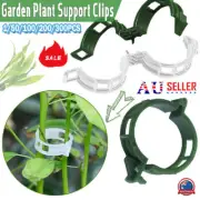 Tomato Greenhouse Ties Veggie Plant Support Clips Garden trellis Stake VP