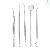 在飛比找蝦皮購物優惠-5pcs Stainless Steel Dental To