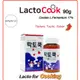 Lacto Cook / 烹飪用益生菌/益生菌/ 植物性乳酸菌/烹飪用(90g)