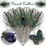 10-100pcs Natural Peacock Tail Feathers for Bouquet DIY Home Stylish Decoration