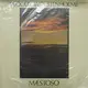 合友唱片 WOOLLY WOLSTENHOLME - MAESTOSO 黑膠唱片 LP (1980)