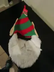 ELF FACE HAT WITH BEARD & MUSTACHE ADULT SIZE NWT