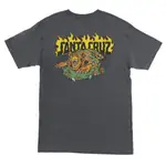 SANTA CRUZ SALBA TIGER REDUX T-SHIRT