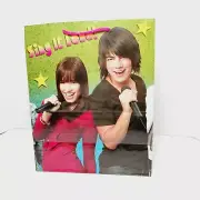 SINGLE Hallmark Disney Camp Rock Gift Bag Demi Lovato Jonas Brothers 2008 13x10"