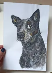Australian Cattle Dog Original Watercolor Portrait 8x5.5'' Painting Stylized
