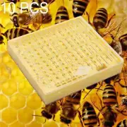 1Pcs Plastic Bee Queen Box Queen Rearing Box Cultivate Queen Bee Tool Beekeeping