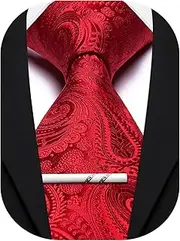 [Barry.Wang] Paisley Tie for Men Silk Woven Necktie and Tie Clip Set Wedding Party Business Formal