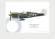 Warhead Illustrated P-40M Kittyhawk 76 Sqn RAAF SV-N Aircraft Print