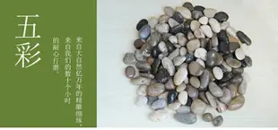 石頭天然南京鵝卵石花盆園藝鵝卵石魚缸裝飾小石子庭院五彩