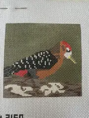 Precious Woodpecker or Thrush Bird 13m Needlepoint Canvas