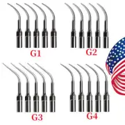 5X Puntas escalador ultrasónico dental for EMS Cavitron WOODPECKER pieza de mano