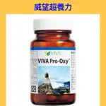 威望 VIVA 超養力（高活性輔酵素Q10、雙參補氣組合）