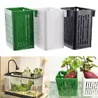 Glass Pot Fish Tank Hydroponic Planting Basket for Fish Tank