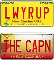 Breaking Bad | LWYRUP + The CAPN | Metal Stamped License Plates