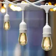 Hampton Bay 12-Light 24 ft. Indoor/Outdoor Plug-In Edison Bulb String Light