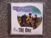 POI DOG PONDERING "BE THE ONE" 1992 COL. STILL SEALED OOP PROMO CD SINGLE