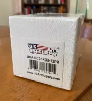US Art Supply 3" x 3" Mini Stretched Canvas Pack of 12 Mini Canvases