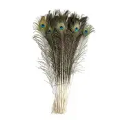 25Pcs Peacock Feather Natural 10-12 Inch