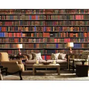 3D Retro Library Bookshelf Wall Mural Wallpaper 467