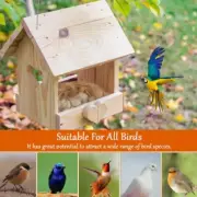 Soft and Dust Nesting Material for Pet Birds 2 Pack Easy to Clean