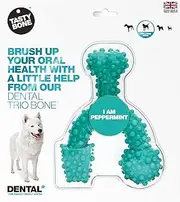 Tasty Bone Nylon Dental Trio Peppermint Chew Dog Toy Large