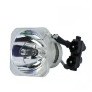 Original Ushio Projector Lamp Replacement for Optoma SP.61.80Y01.001 (Bulb Only)