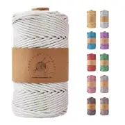 KNOTITUDE 3mm x 87 Yards(80M) Metallic Braided Rope PET Macrame Cord Wrappin