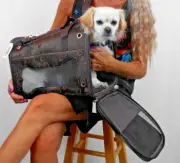Pet Carrier TRAVEL ON BOARD AIRLINE HEARTS - DELUXE - SOFT SIDED - FOLDS FLAT