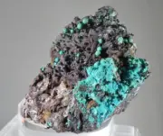 CHRYSOCOLLA WITH BROCHANTITE - Los Azules Mine, Copiapo, Atacama Region, Chile